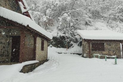 nieve1