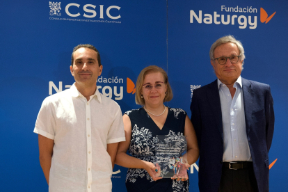 Ángel Martín Martínez, investigador del Instituto de Bioeconomía de la Universidad de Valladolid, y María Dolores Bermejo Roda, miembro del equipo investigar, recogen el premio de manos del presidente de Fundación Naturgy, Rafael Villaseca. NATURGY