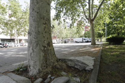 Jardín del Sil se llama esta zona de Ponferrada.