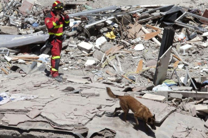 Un militar de la UME rastrea con su perro en un derrumbe de un edificio