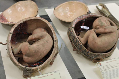 Dos reproducciones de fetos humanos formarán parte del futuro Museo Universitario.