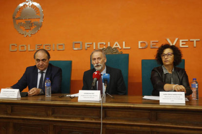 Luis Alberto Calvo, Luciano Díaz y María Teresa Carbajo, ayer. FERNANDO OTERO