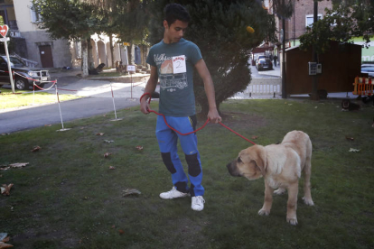 Campeonato de León de Mastín 2023. RAMIRO