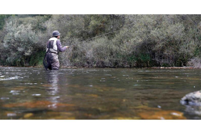 La temporada de pesca en los ríos de León inicia su andadura el sábado 25 de marzo y se extenderá a lo largo de casi siete meses con unas perspectivas positivas. FERNANDO OTERO