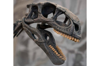 Réplica de Chilesaurus diegosuarezi, descubierto en Chile el 16 de febrero de 2022. ALBERTO VALDÉS