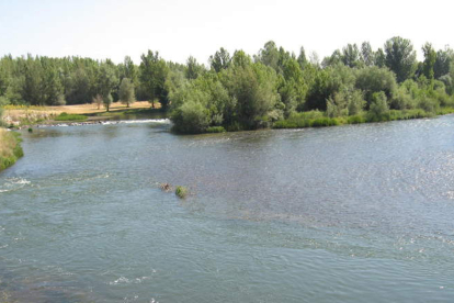 Los ríos
que atraviesan el municipio
son fuente natural y de riqueza
paisajística. P. INFIESTA