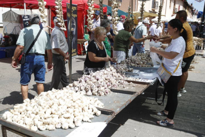 Santa Marina del Rey celebra la Feria del Ajo. RAMIRO