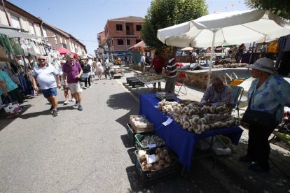 Santa Marina del Rey celebra la Feria del Ajo. RAMIRO