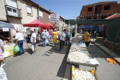 Santa Marina del Rey celebra la Feria del Ajo. RAMIRO