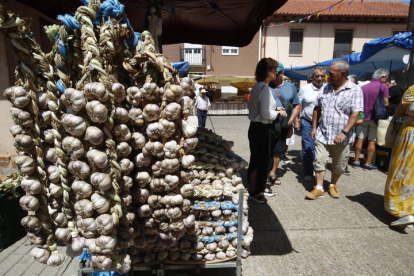 Santa Marina del Rey celebra la Feria del Ajo. RAMIRO