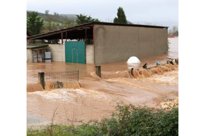 Una inundación en medio de una explotación ganadera. efe