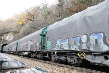 Tren de mercancías en la zona de la rampa de Pajares. MARCIANO PÉREZ