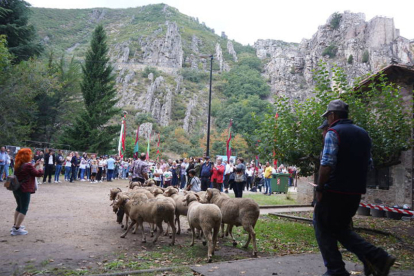 Fiesta del Pastor de Barrios de Luna. J. NOTARIO