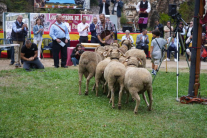 Fiesta del Pastor de Barrios de Luna. J. NOTARIO