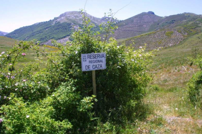 Imagen de archivo de la reserva de caza de Picos de Europa.