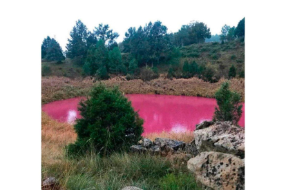 Las aguas teñidas de rosa en la laguna de Las Tortugas (Cuenca). DL