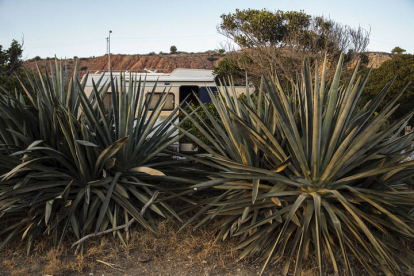 Una autocaravana se camufla entre las plantas en un parking público frente a la playa en el barrio de la Araña en Málaga. JORGE ZAPATA