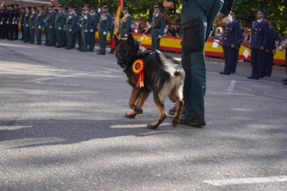 Día de la Hispanidad en León. J. NOTARIO