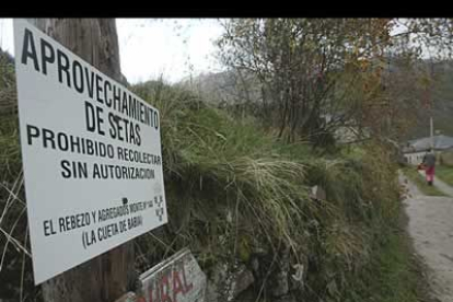 Evitar que en el futuro Babia torne en un paisaje muy distinto al heredado hasta el siglo XXI, es uno de los objetivos de la reserva de la Biosfera.