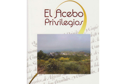 La portada del libro escrito por Hernán Alonso.