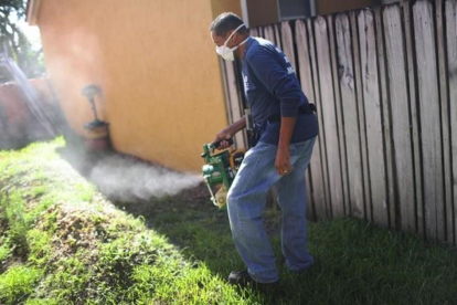 Fumigación preventiva contra el mosquito transmisor del zika, en Miami, en mayo.