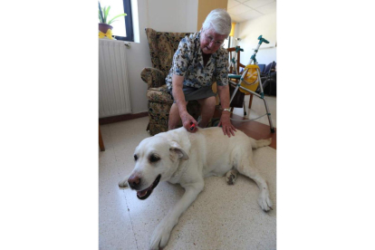 Plácida García, de 91 años, cepilla el lomo de Cuca, la perra labrador jubilada de la Once.