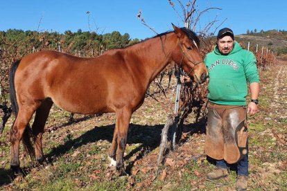 El herrador Jonathan Carvalha Asenjo está pegado a los caballos desde que nació, en la imagen en Villafranca. M.F.