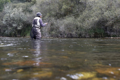 La temporada de pesca llega a su fin en los ríos regulados de la provincia leonesa. FERNANDO OTERO