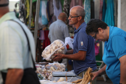 Hasta 160 puestos, 55 de ellos de ajo con vendedores venidos de toda España animan este domingo la vigésima edición de la Feria del Ajo de San Miguel de las Dueñas. Por la noche, la Orquesta París de Noia cerrará las fiestas del verano en la localidad berciana. ANA F. BARREDO