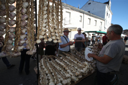 Hasta 160 puestos, 55 de ellos de ajo con vendedores venidos de toda España animan este domingo la vigésima edición de la Feria del Ajo de San Miguel de las Dueñas. Por la noche, la Orquesta París de Noia cerrará las fiestas del verano en la localidad berciana. ANA F. BARREDO