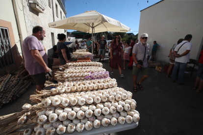 Hasta 160 puestos, 55 de ellos de ajo con vendedores venidos de toda España animan este domingo la vigésima edición de la Feria del Ajo de San Miguel de las Dueñas. Por la noche, la Orquesta París de Noia cerrará las fiestas del verano en la localidad berciana. ANA F. BARREDO