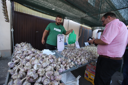 Hasta 160 puestos, 55 de ellos de ajo con vendedores venidos de toda España animan este domingo la vigésima edición de la Feria del Ajo de San Miguel de las Dueñas. Por la noche, la Orquesta París de Noia cerrará las fiestas del verano en la localidad berciana. ANA F. BARREDO