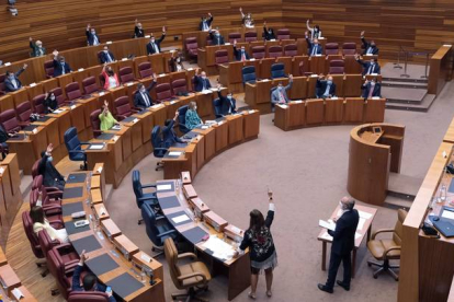 Fotografía facilitada por las Cortes de Castilla y León que muestra una de las votaciones durante la segunda sesión del pleno de las Cortes en Valladolid