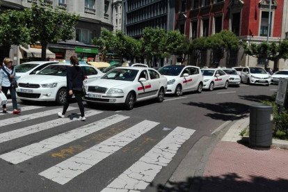 Concentración de taxis ante la Subdelegación del Gobierno. DL