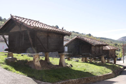 Los tres hórreos en el pueblo de Felechas. CAMPOS