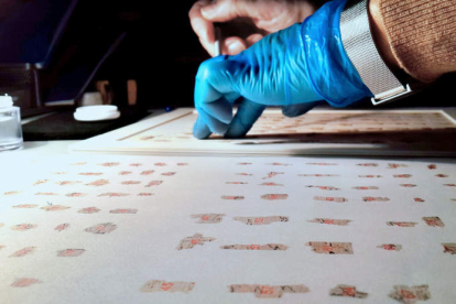 Un arqueólogo une trozos de los manuscritos. SHAI HALEVY