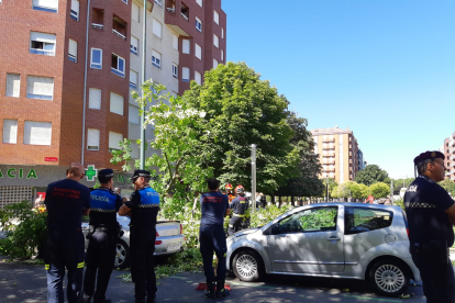 La caída provocó daños en dos coches.  DL