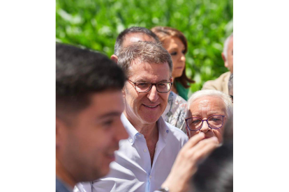 El presidente del PP, Albrto Núñez Feijóo. DAVID MUDARRA