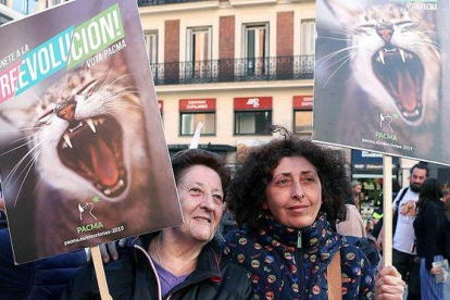 Simpatizantes del PACMA, en un acto del partido en Madrid durante la campaña de las elecciones generales 2019. /