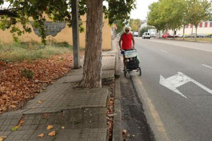 Un peregrino, ayer con su carrito, obligado a caminar por el asfalto ante las dificultades. L. DE LA MATA