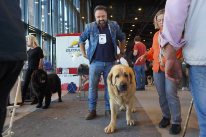 Exposición Internacional Canina de León. J. NOTARIO