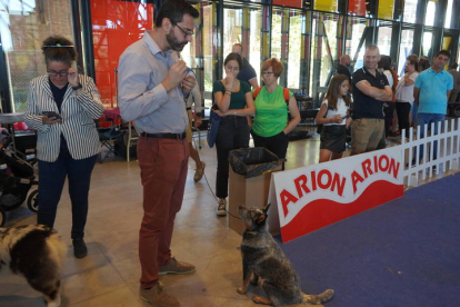 Exposición Internacional Canina de León. J. NOTARIO