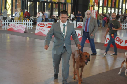 Exposición Internacional Canina de León. J. NOTARIO