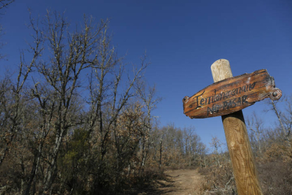 Flautista, Violinista y Práctico, cada uno con su propia ingeniería de construcción, tienen el domicilio asentado en el bosque de los cuentos de Almanza. No lejos de sus casas, en un claro entre la mata de robles, les vigila el Lobo Feroz para intentar derribarlas con la fuerza de sus soplidos. Los códigos QR repartidos por la senda permitirán a los visitantes volver a disfrutar de este clásico  intemporal de la literatura mientras observan las figuras que representan a sus personajes.            FERNANDO OTERO