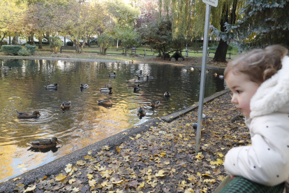 Parque de Quevedo. RAMIRO