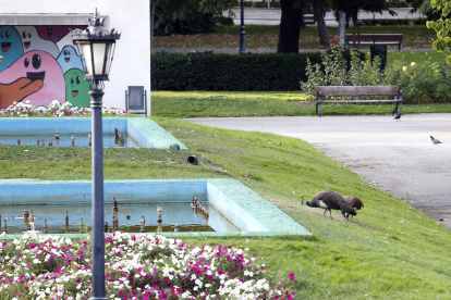 Parque de Quevedo. RAMIRO