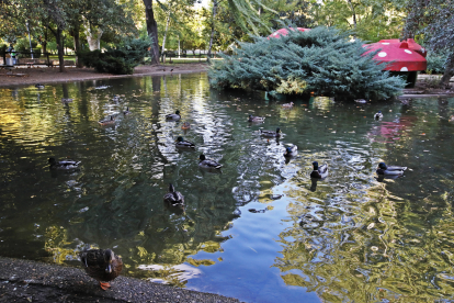 Parque de Quevedo. RAMIRO