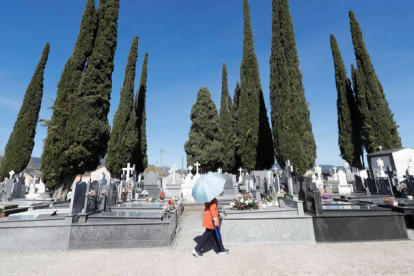 Una mujer pasea ayer por el cementerio de Cacabelos resguardada del sol por un paraguas ante los famosos cipreses. LUIS DE LA MATA