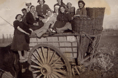 Imagen de mujeres en una jornada de vendimia en los años 50 en Villademor de la Vega. DL