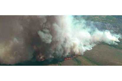 El incendio que asola el bosque de alto valor ecológico refugio de urogallos en Quintana del Castillo